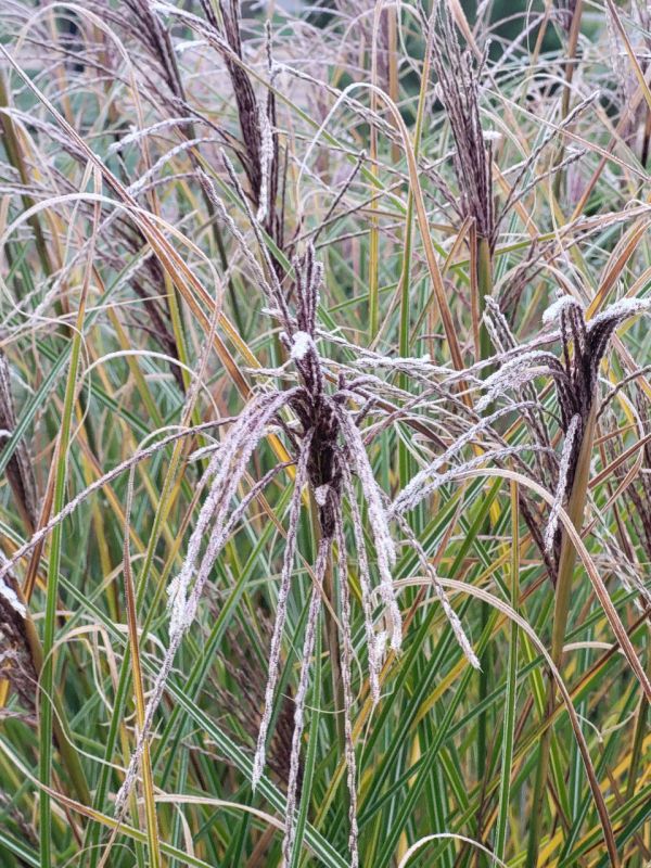 ����� ����. ���� �� ����������