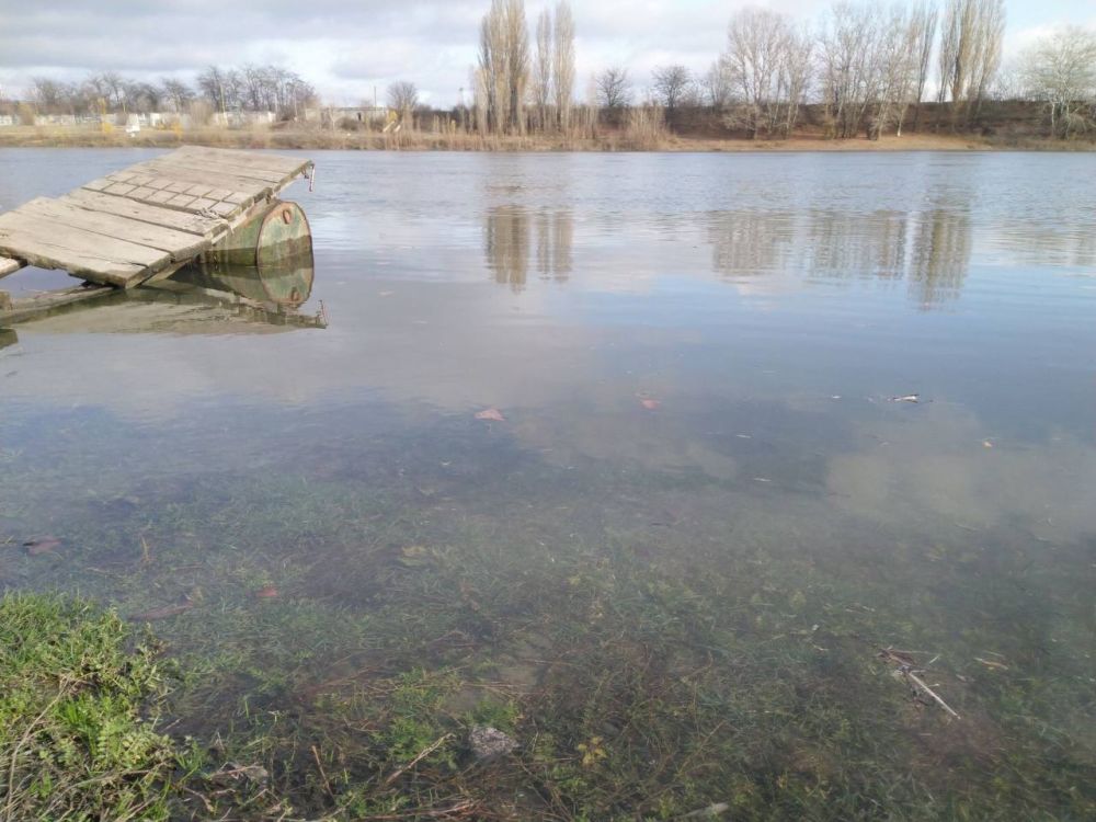 ��������������� �������