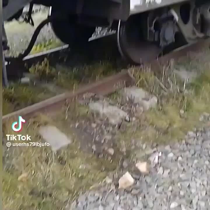 ������ ������� ��� ��� �� ����� �������� �������