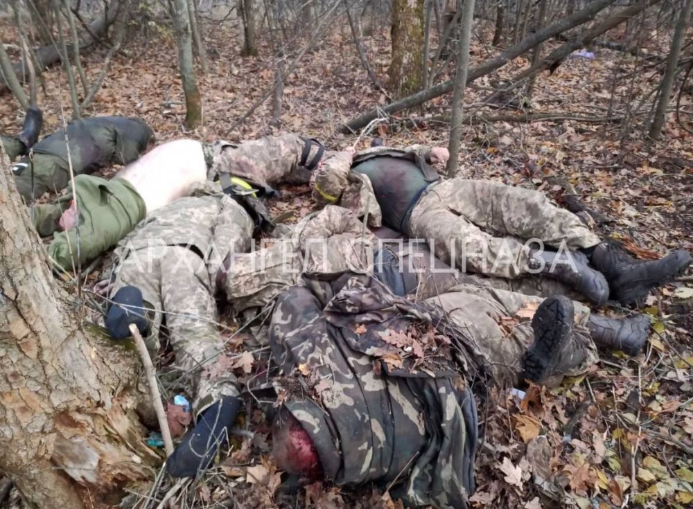 ������ ������� 56-� ��������� ������������ ������� ��� � �����-�� �����������