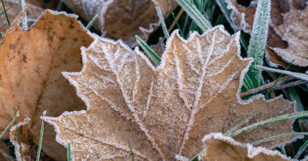 ��������: ���������!. �� ��������� ���������������� ��������������, ���� ����� ����������� ������� �� ������ ���������� ��������� �� -3��. ���� ��������� �� +6��