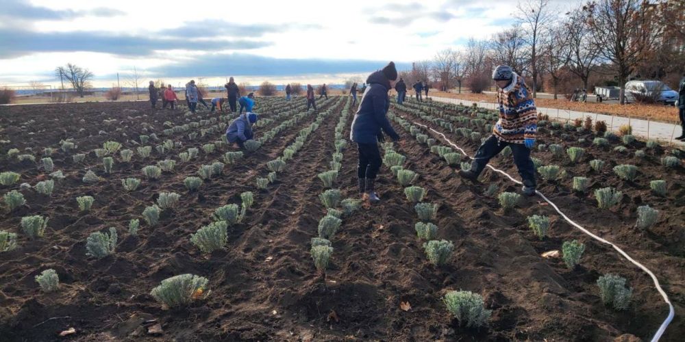 � ����������� �������� 3 ������ ������ �������