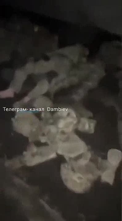 ���������� �������������� ������������ � ���������� ����� �� �� �� ��������� � �����������