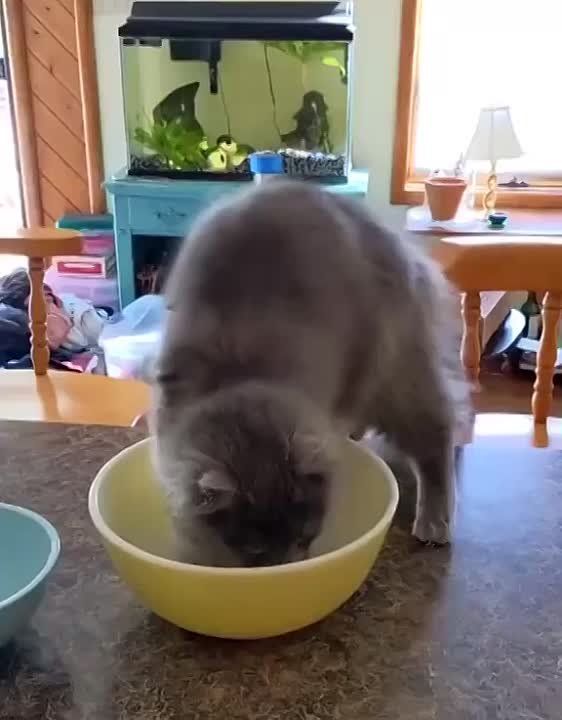 ������� ��������� ������� � ��� �������� �������� ����������� � �������