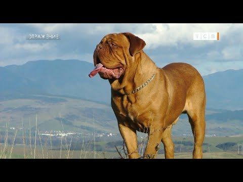 �� ������ � �������� ��������� ��� � ��� ������� ������ � ����� �� ����� ������ � ���� �� ���� ��. ������� ������ ���������...