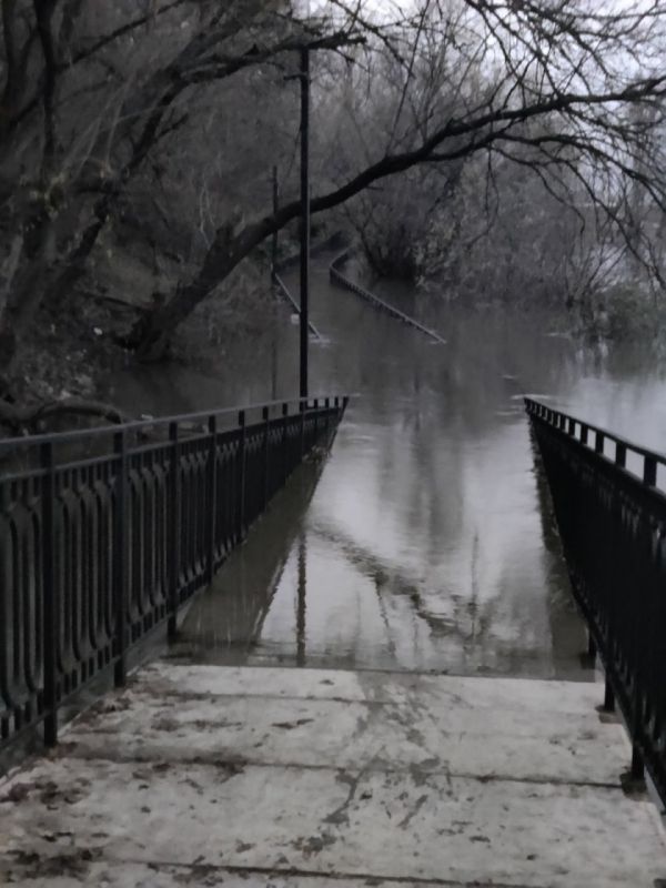 ������� ���� � ���� ������ ����� ���������