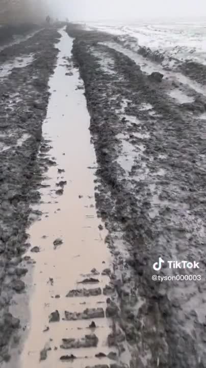 ������� � ���, ������ � ���� ��� �� ���� �������� �������������� ��������