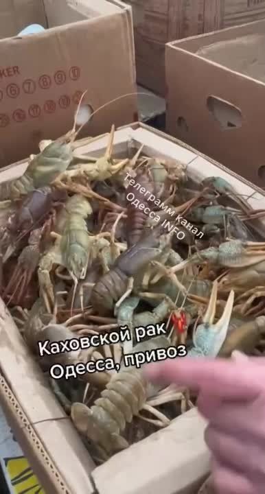 � ������ �� ������� ���� �� ���������� ������� � ���� ���� ����� �������