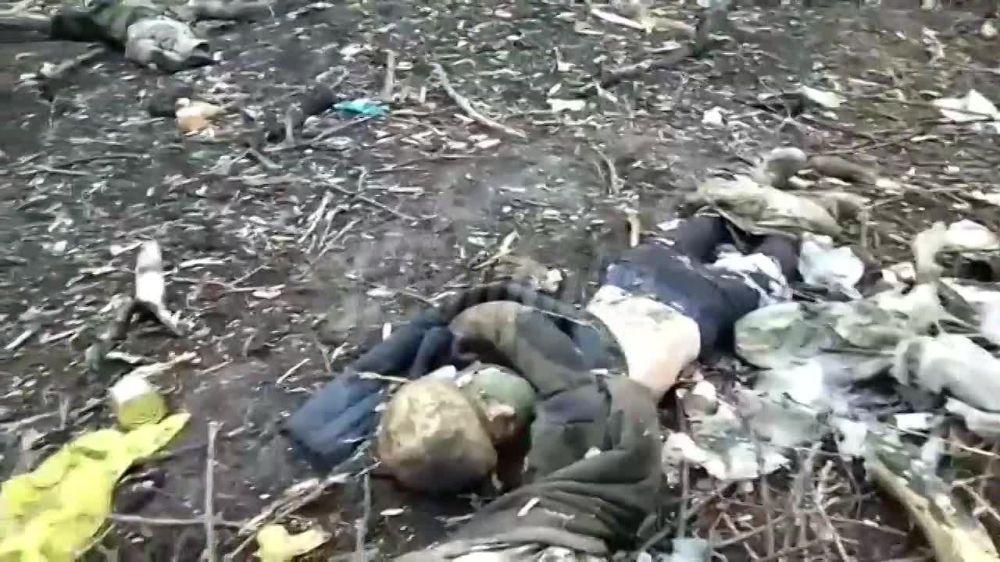 �����, ��������� ������� � ����� � ���, ��� �������� �� ���������� �������� �� ���� ���