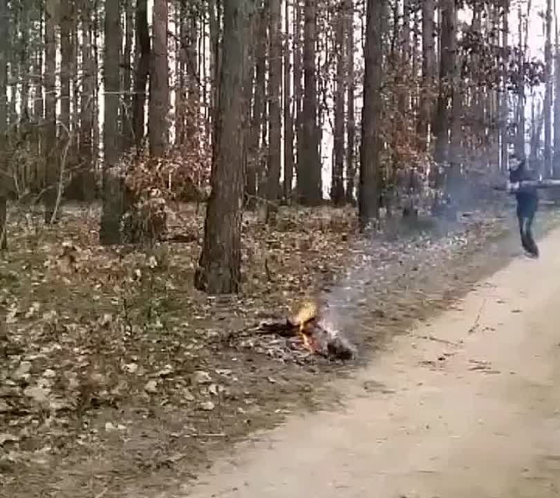 � ��� ��� ���� � ��� ��� ��������������