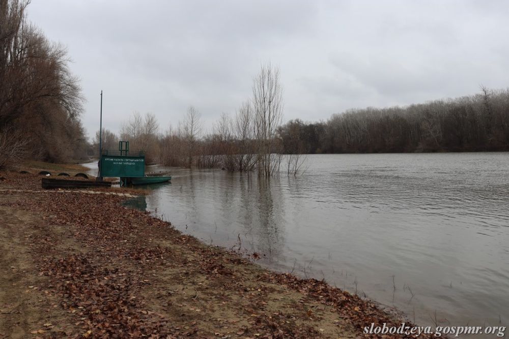 ��� ����� �������� � ������ �� ���� ���������� ����� ���������