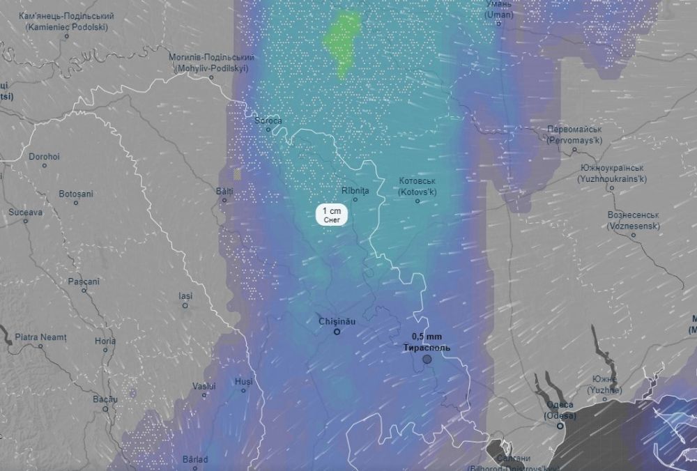 ������ �� ������ ������������� ����� ����