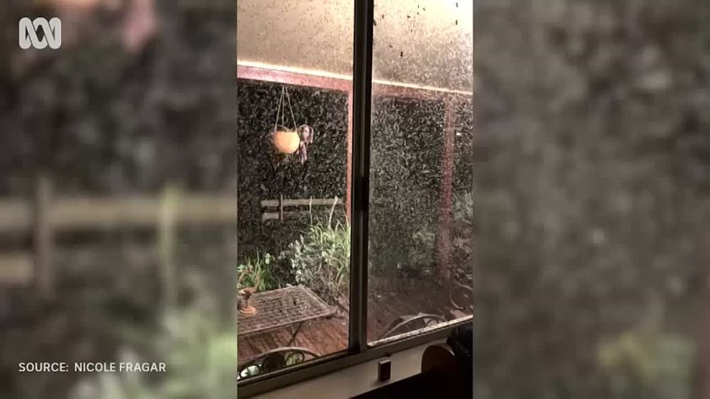 ���� ������� ���������� ��������� ��������� ����� ������� ����������