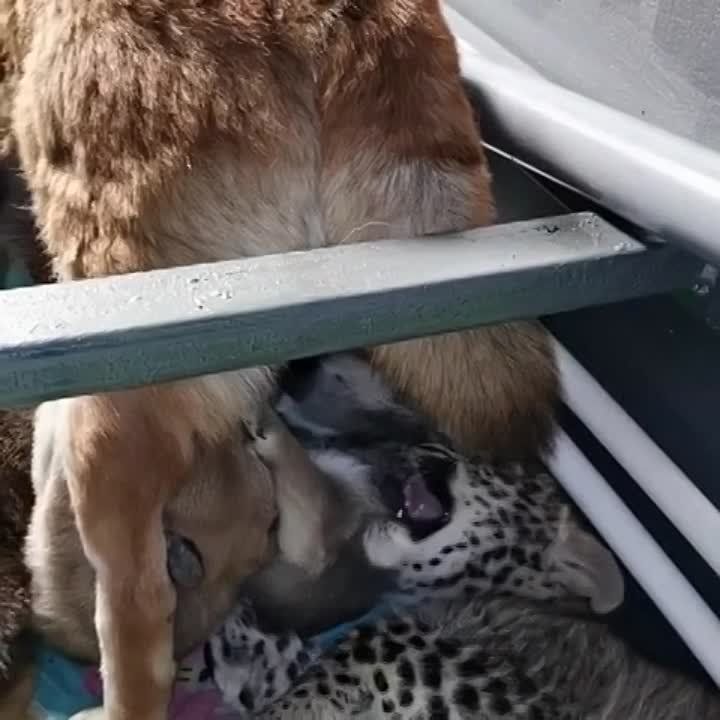 � �������� ������ ������ �� ������ ������� ������������ �����������