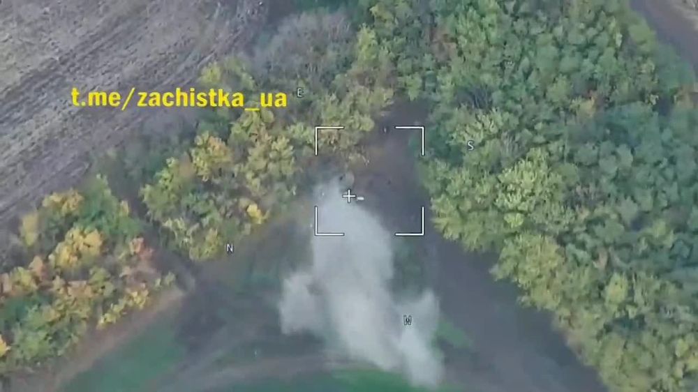 ���� ������� ��������� ���������� ����