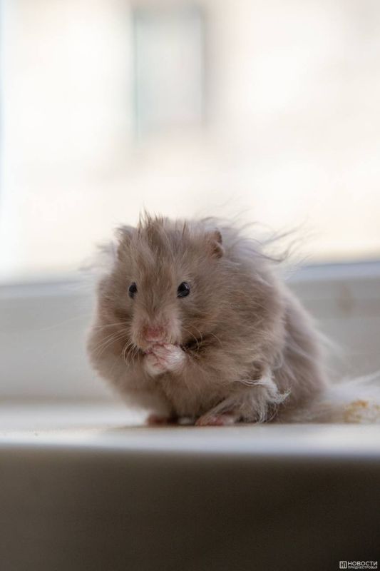 ������� ��������� ���� �������� ��������