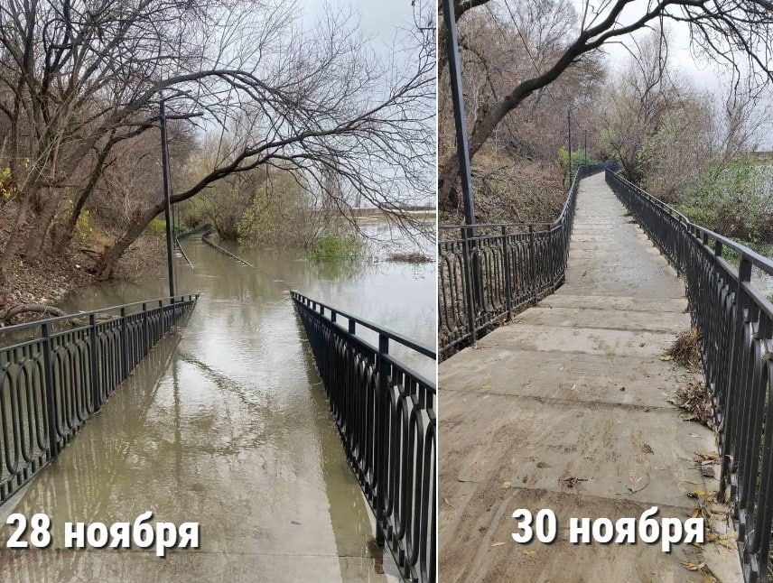 ������� ���� ������. ������ ���������� ������� � ���� ����������� �� ����� �������� � ��������, ����� ������ ���� ���������������� ��� � �������. ������ ���������� �������