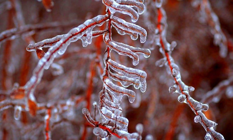 � ������� � ������������� ����� ������ ������� �����