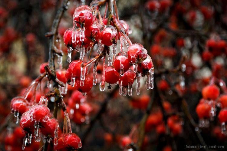 �������������: � ������� � ������������� ����� ������ ������� �����