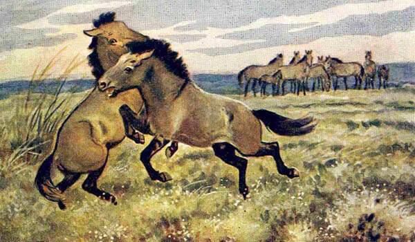 ��� �������� ��������� ������ � ������ ��������� � ����� ������ ������ ������ � ����������