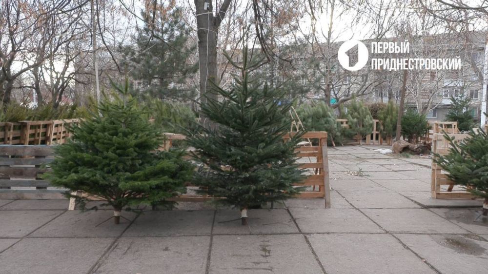 � ��������� ������� ������ ������� 20 �������