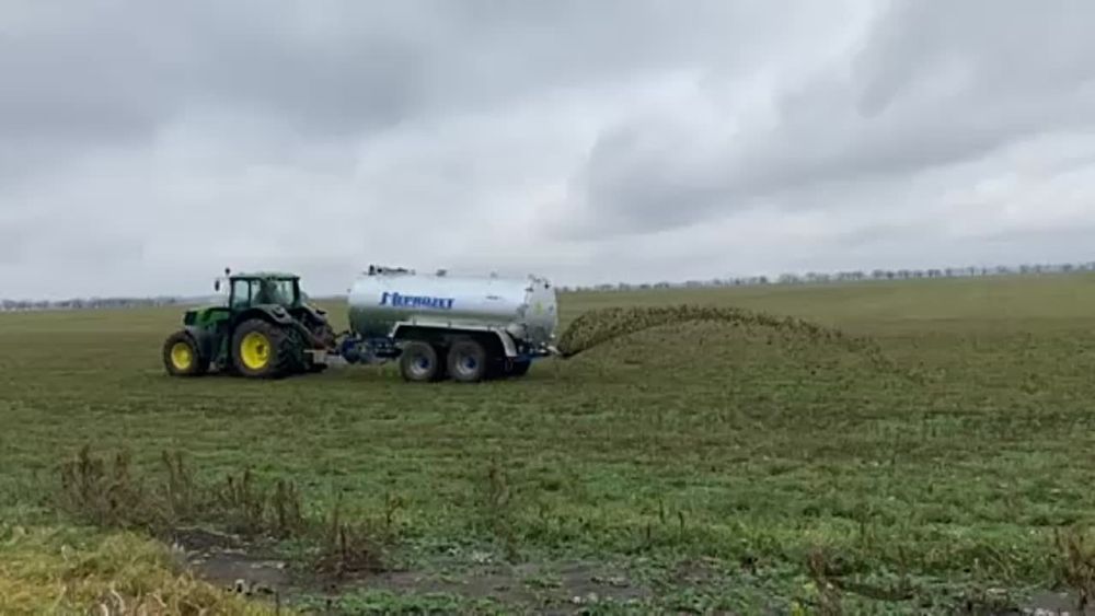 �������� �������� ������ � ��������� ������