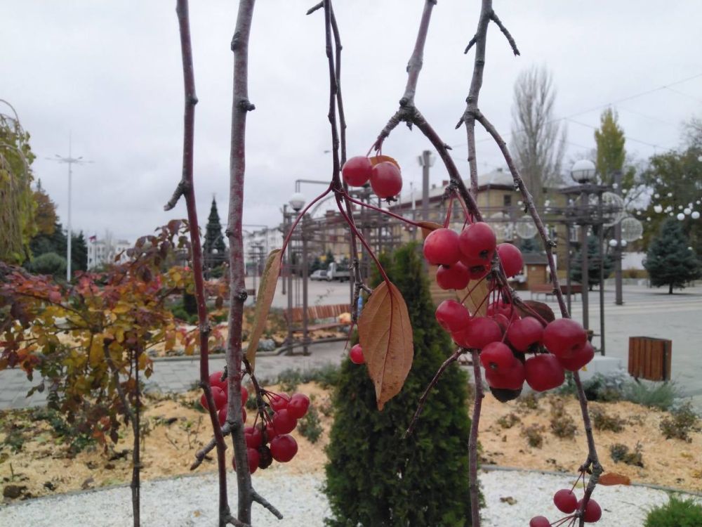 ������ - ����. 1 ������� ��������� �������� � ������������ ������, ��� �������, �������� ��������� ����� �� ����� �� � ��