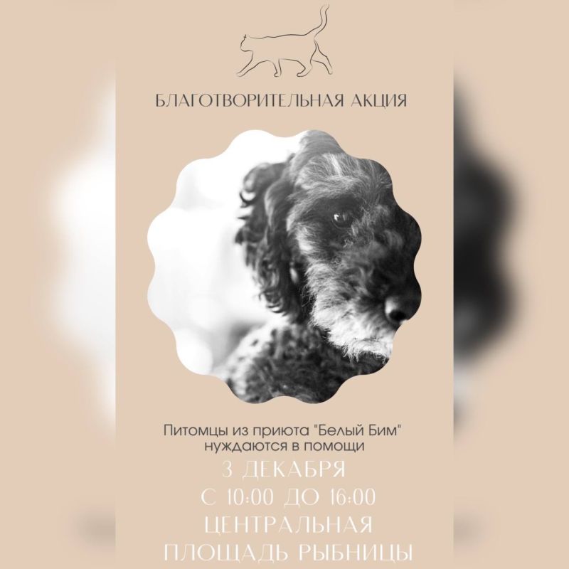 ����� �������� ����� ����� � �������, � ���� �������� ������ ��� �����