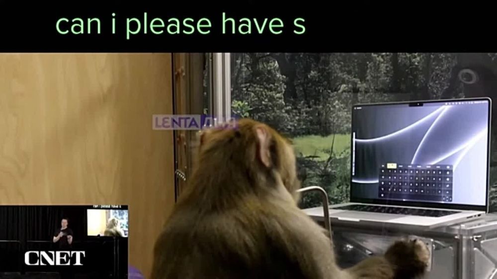 ���� ���� �������, ��� ������������ ��������� ��������� ����������� ����� �����