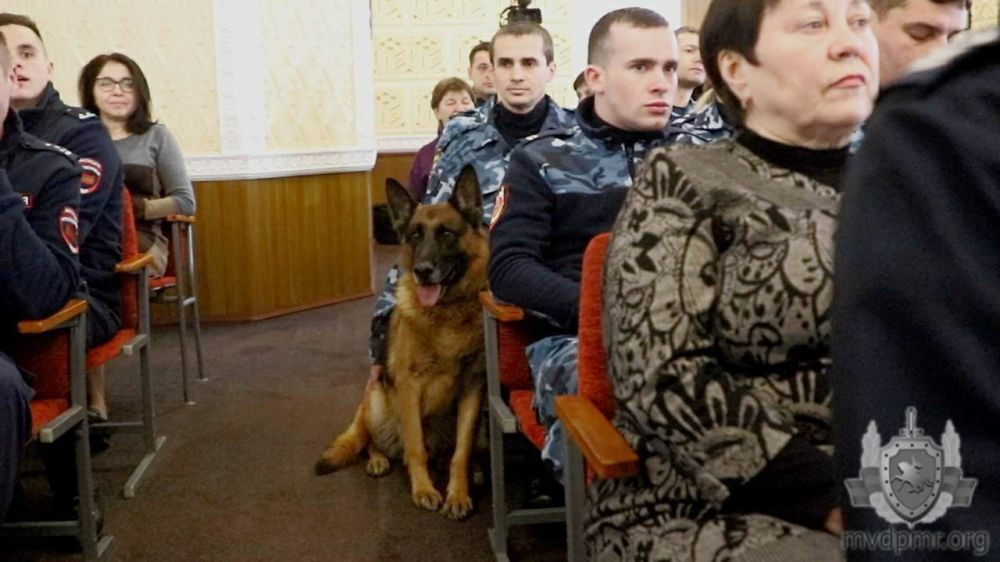 � ��� ��������� ������ �� ������ ����