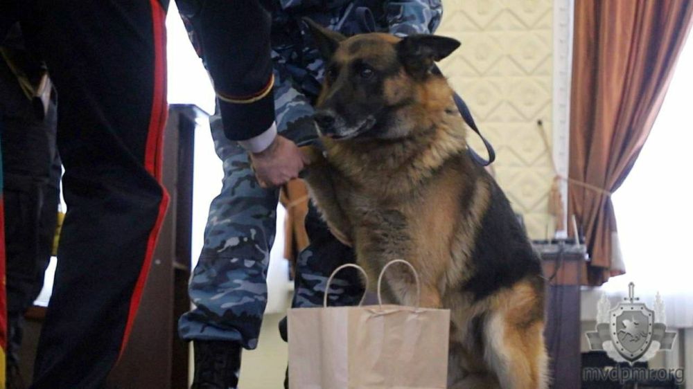 ������� ��-��������������