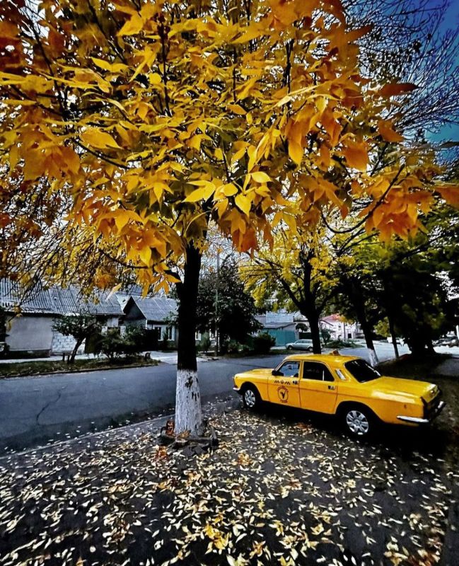 �����, ��������. ������� ���������