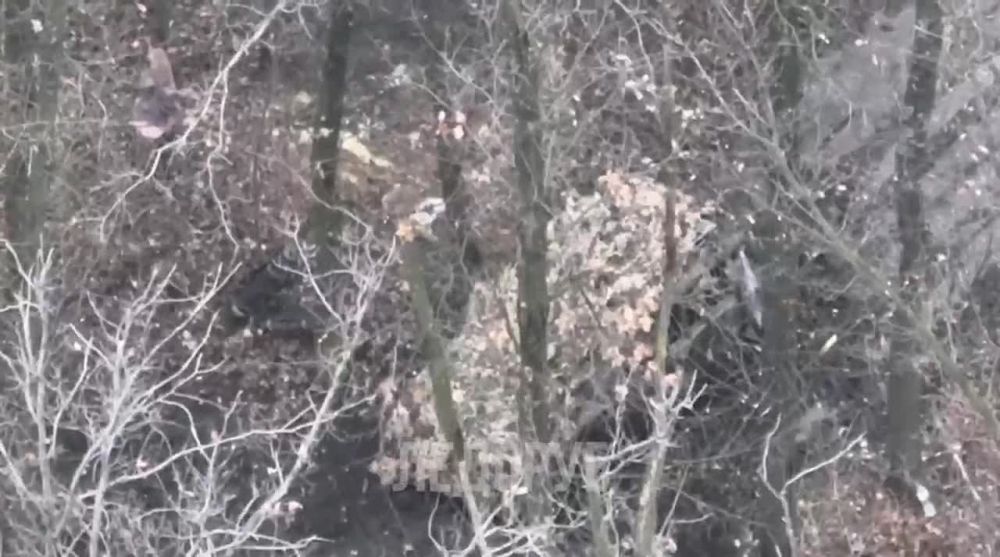 ���������� ������ � ��� ����������� ��������� ������ ��������������� ���������