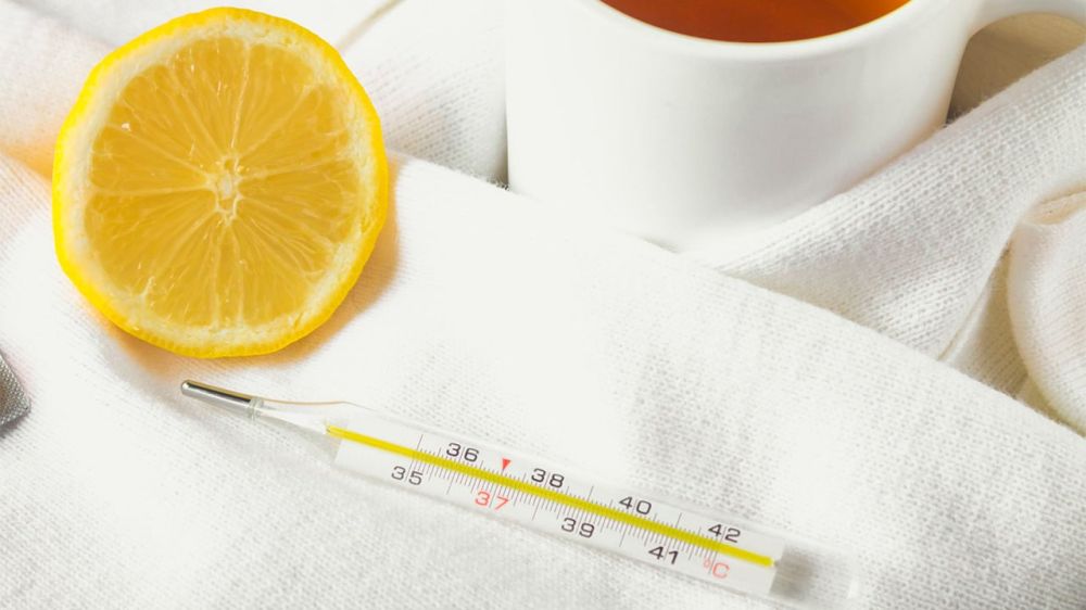 �� ��������� ������ � ��������� ��������������� 551 ������ ����������� ����, ��� �� 28,5% ���� ����������� ����������� ������, �� �� 78% ���� ������������ ������� �������� ����