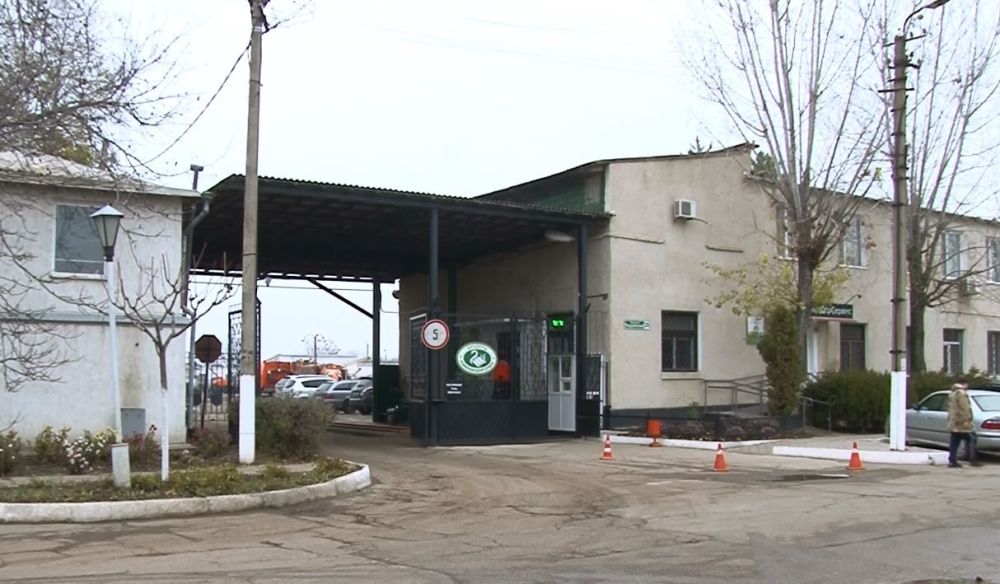 ���������� ����� ����. � ���� ���������� ������������� ������. ������� ���� � ��������� ����� � ���� ���� ����� ����� 30...