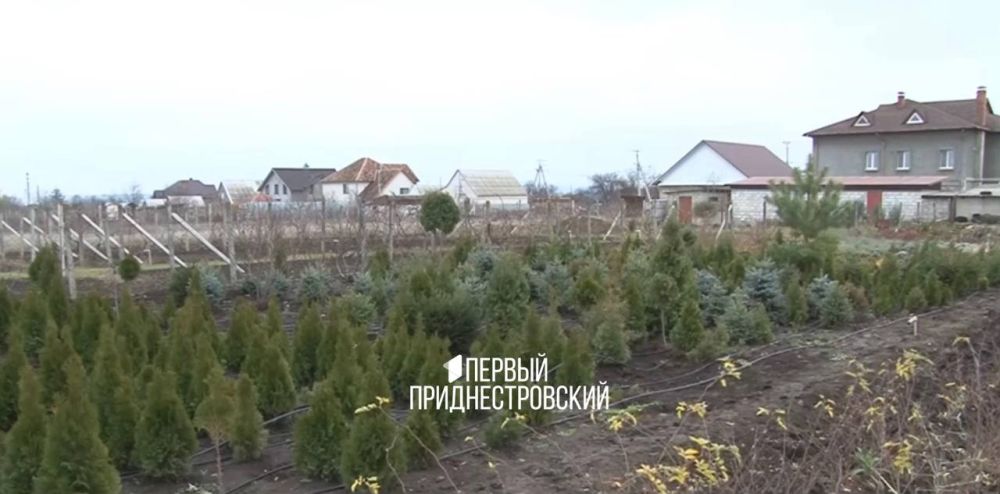 ������� ��� � �����. ������� ������� ���������� ����, �����, ���, �������������. �� ����� ������. �� ���� �������: �� ��...