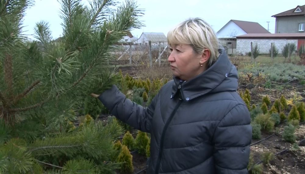 ������� ��� � ���� ����