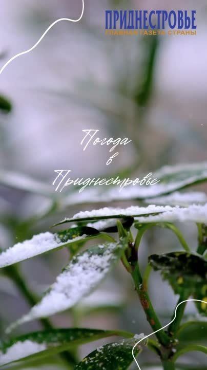 2 ������� ��������� �������� ������, ����� � ����� ������� ������ ������