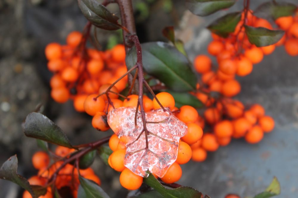 ���������� ������������� �������� ��� �������� ����������� � ������� ��� ����������� ������ ������