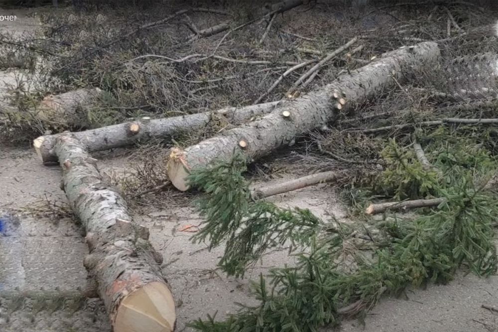 ��� � ������ ������� ����� ��� �������� ���� ������� ������ � ������� �� ����