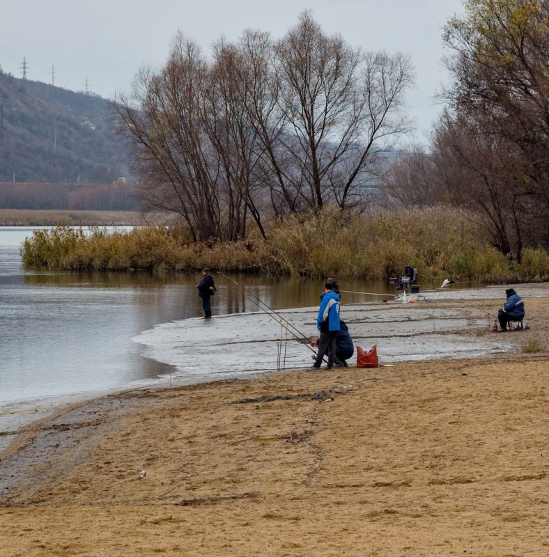 ���� ���� � ����� ������. ��������� �����