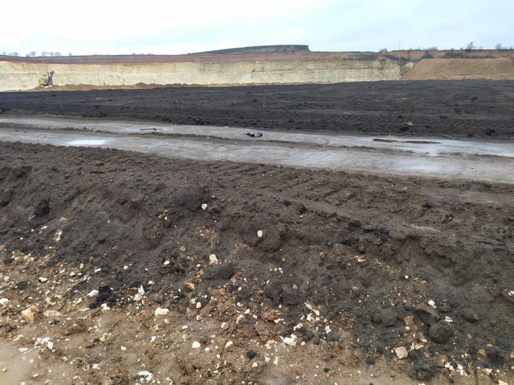 ������������� ������ �� ����������� �������������