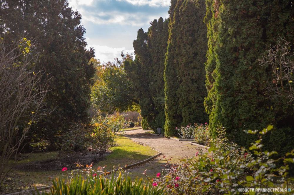 ����� ���������� ������������� ���� ������� �����������