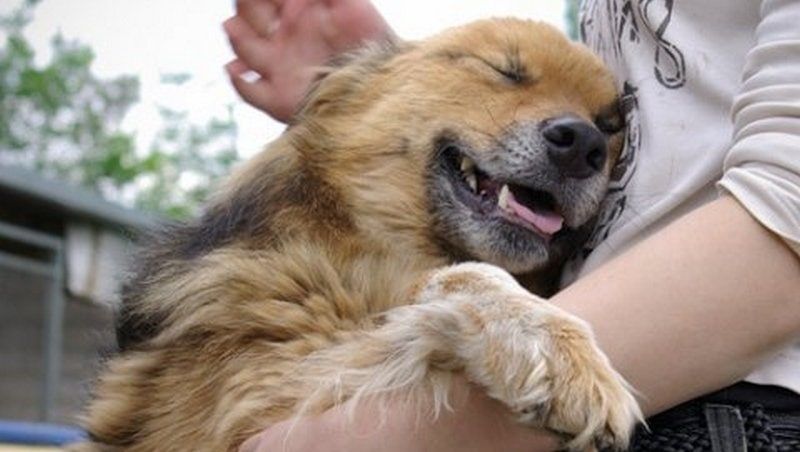 �� ����� ���� ������. ����������������� ����� ������ ��������� �������� ������� � �������