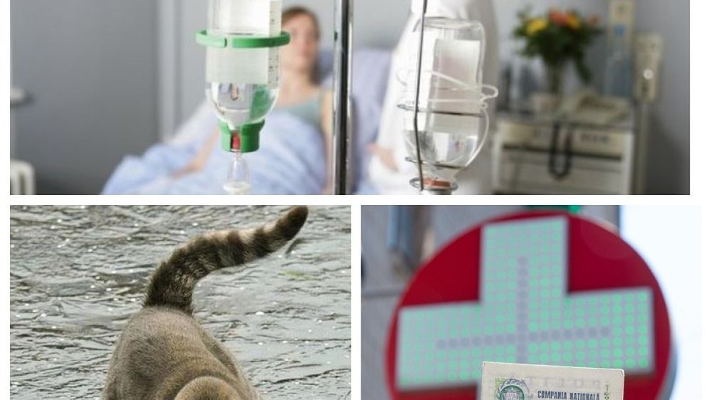 ������� ������� �� 3 ������� 2022: ��� � ������� �� �������� ����� ������� 13 ����� ����, � ��� ������� ������; ����� � ������� ��������� ������� � �����; � ���� �������� ������ ����������� ���������