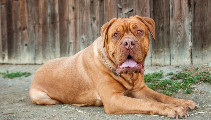 � �������� ������������� ��������� ��� ����� �� ������