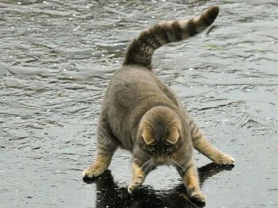 � ������������� ����� � ����� 5 ������� �� ������� � ���������� ������� ����� ����������, �������� ���������