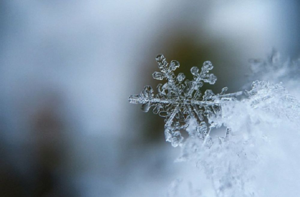 �� ������ ��������������