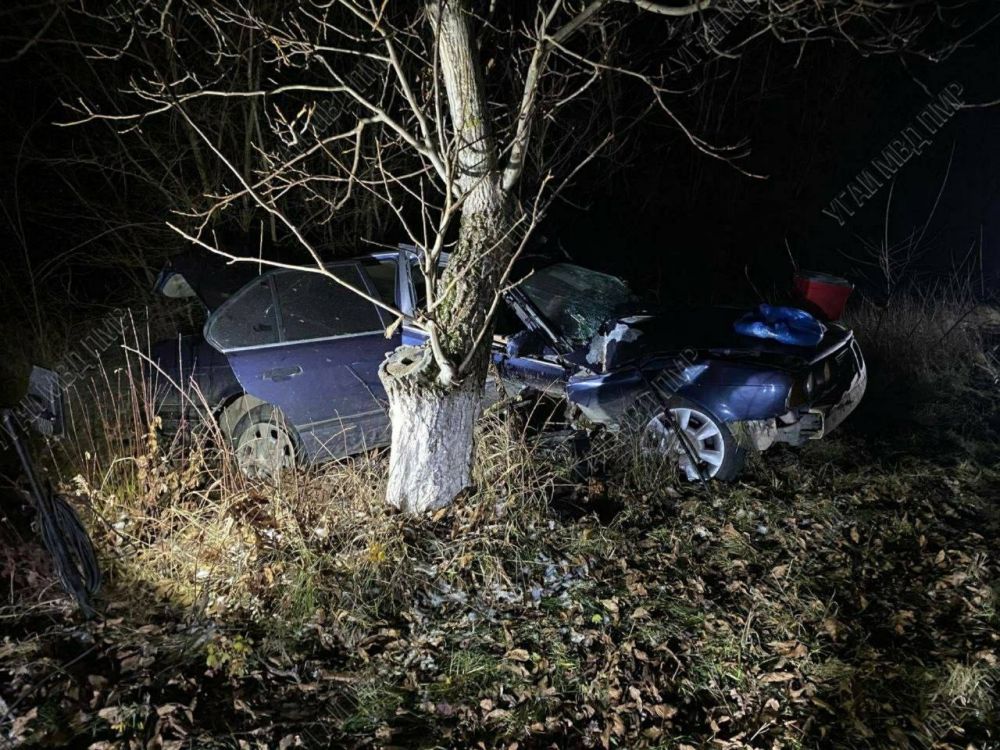 ��� ��� �� ���� ����� ����������� � ������