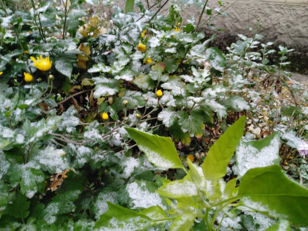 �������� ������ � ��� ������ ������� ����������� ������